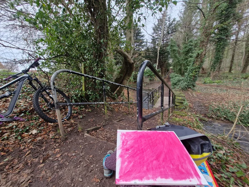 A board painted shocking pink lying on the ground in a wood, a bicycle beside it