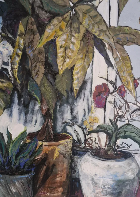 House plants in pots, a pink orchid in a white pot beside a large leafy plant, against a pale striped background